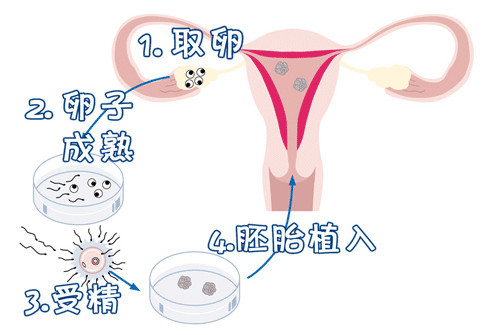 丹韵生殖医学中心